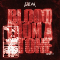 NOWAVE - BLOOD FROM A STONE