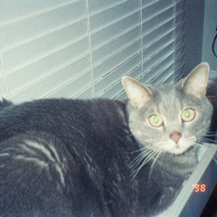 ISITANYWUNDER