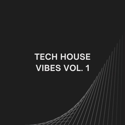 Tech House Vibes Vol. 1 | DJ-Set