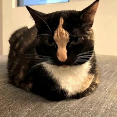 No Silence Suffering Christ aint Jesus .mp3