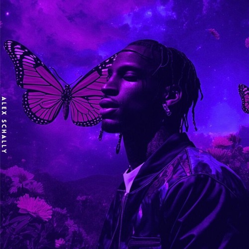 Travis Scott - Butterfly Effect (Alex Schally Remix) *FREE DOWNLOAD*