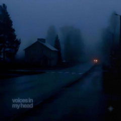 voices in my head