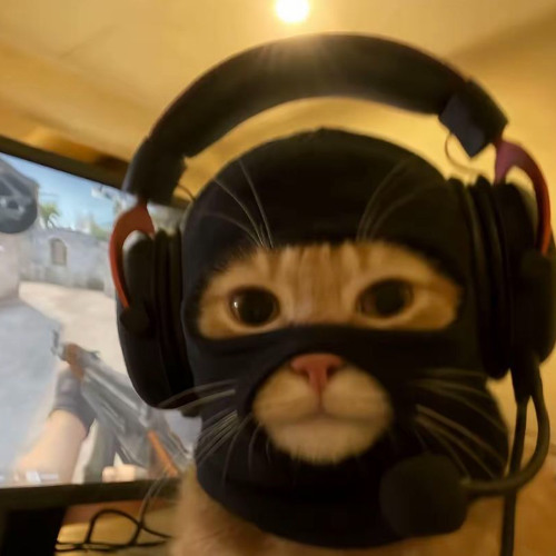 Montagem Miau - SUPER SLOWED