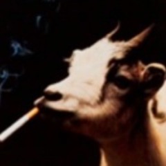 3HG (feat. Hoamie, STO 3)