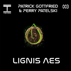 Perry Patelski & Patrick Gottfried - P.S.