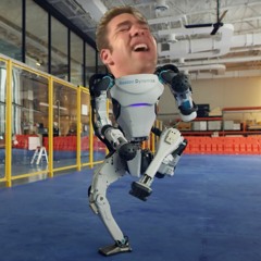 Gachi Dynamics®