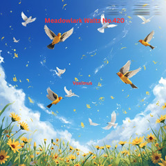 Meadowlark Waltz No.420 (Original Composition)