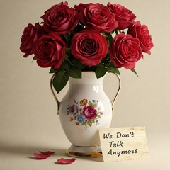 We Don't Talk Anymore
