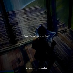 Fortnite | You Don't Know Me (slowed + reverb)
