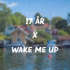 17 år X Wake Me Up (Mojnz Mashup)