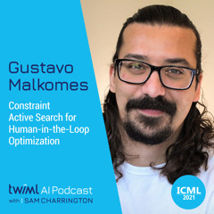 Constraint Active Search for Human-in-the-Loop Optimization with Gustavo Malkomes - #505