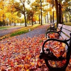 Autumn times اوقات الخريف