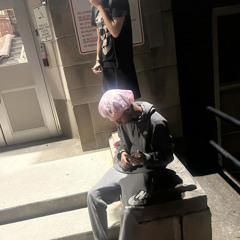 School plylst