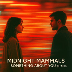 Odesza - Something About You [Midnight Mammals Remix]