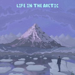 kairos - Life in the Arctic