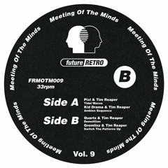 Meeting Of The Minds Vol. 9 [FRMOTM009]