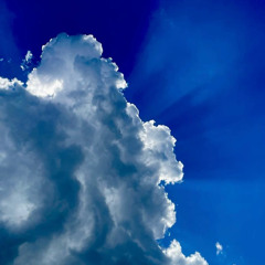 White Flag (Spring 2025) [Explicit]