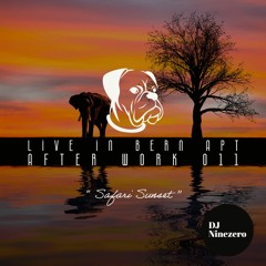 LIVE IN BERN APT "AfterWork" #011 - Safari Sunset (Melodic / Afro / Ethno / Organic house)