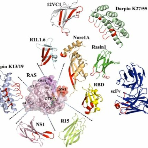 Stream episode Targeting Ras in Cancer Therapies Advances in Protein