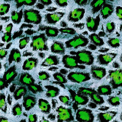 HolyShipWrecked Renegade Set Mexico 2023