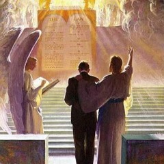 Not every one that saith unto me, Lord, Lord, shall enter into the kingdom of heaven x i was only te