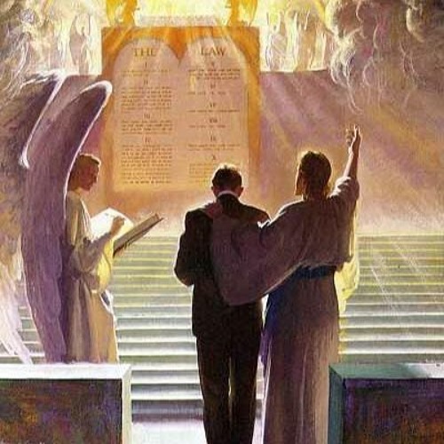 Not every one that saith unto me, Lord, Lord, shall enter into the kingdom of heaven x i was only te