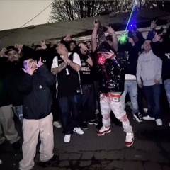 CertifiedRR-Belt 2 ass