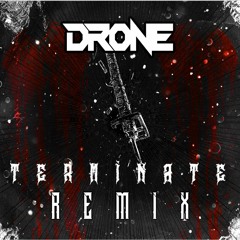DRONE - TERMINATE [BELPHE REMIX]