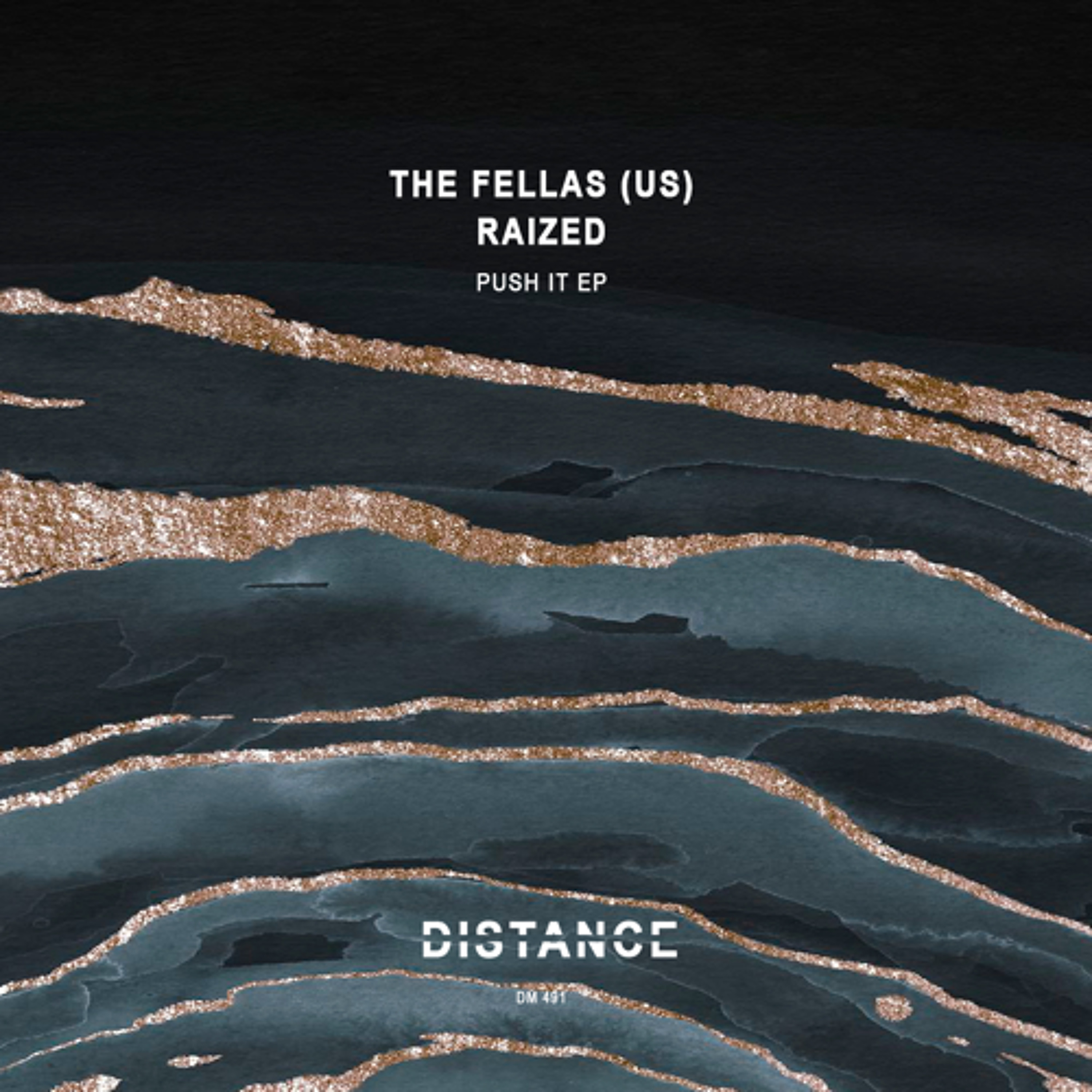 Raized, The Fellas (US) - Push It (Original Mix)