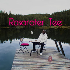 Schizotekk - Rosaroter Tee
