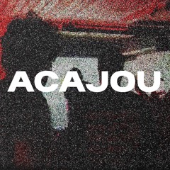 S29BTR2008 ACAJOU