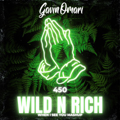 450 - Wild n rich x When i see you Dj Gavinomari Mashup.mp3