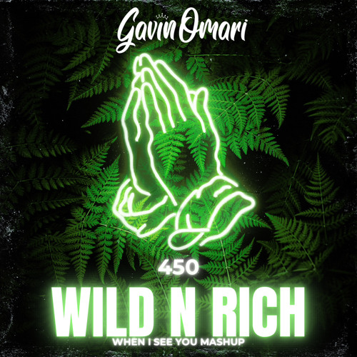 450 - Wild n rich x When i see you Dj Gavinomari Mashup.mp3