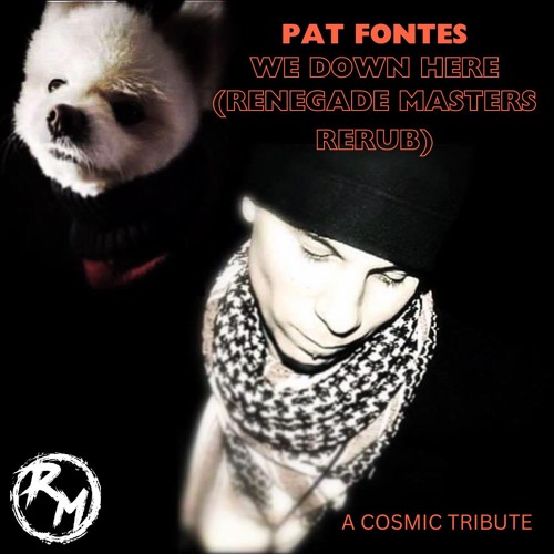 Pat Fontes - We Down Here (Renegade Masters Rerub)