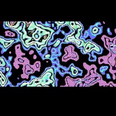 loooow