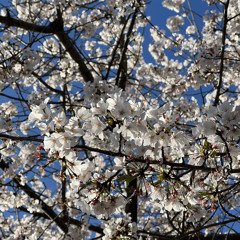 I pRoMise iM reAl gOod