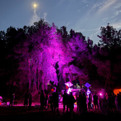 WOODSTOCK - 6/12 - Retro set