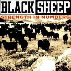 Black Sheep - "Strength In Numbers"