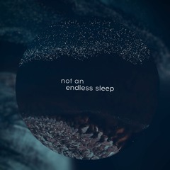 not an endless sleep(feat. Kirkinson)