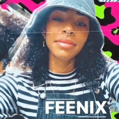 FEEMIX09