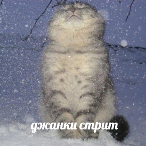 зимой всегда странное чувство