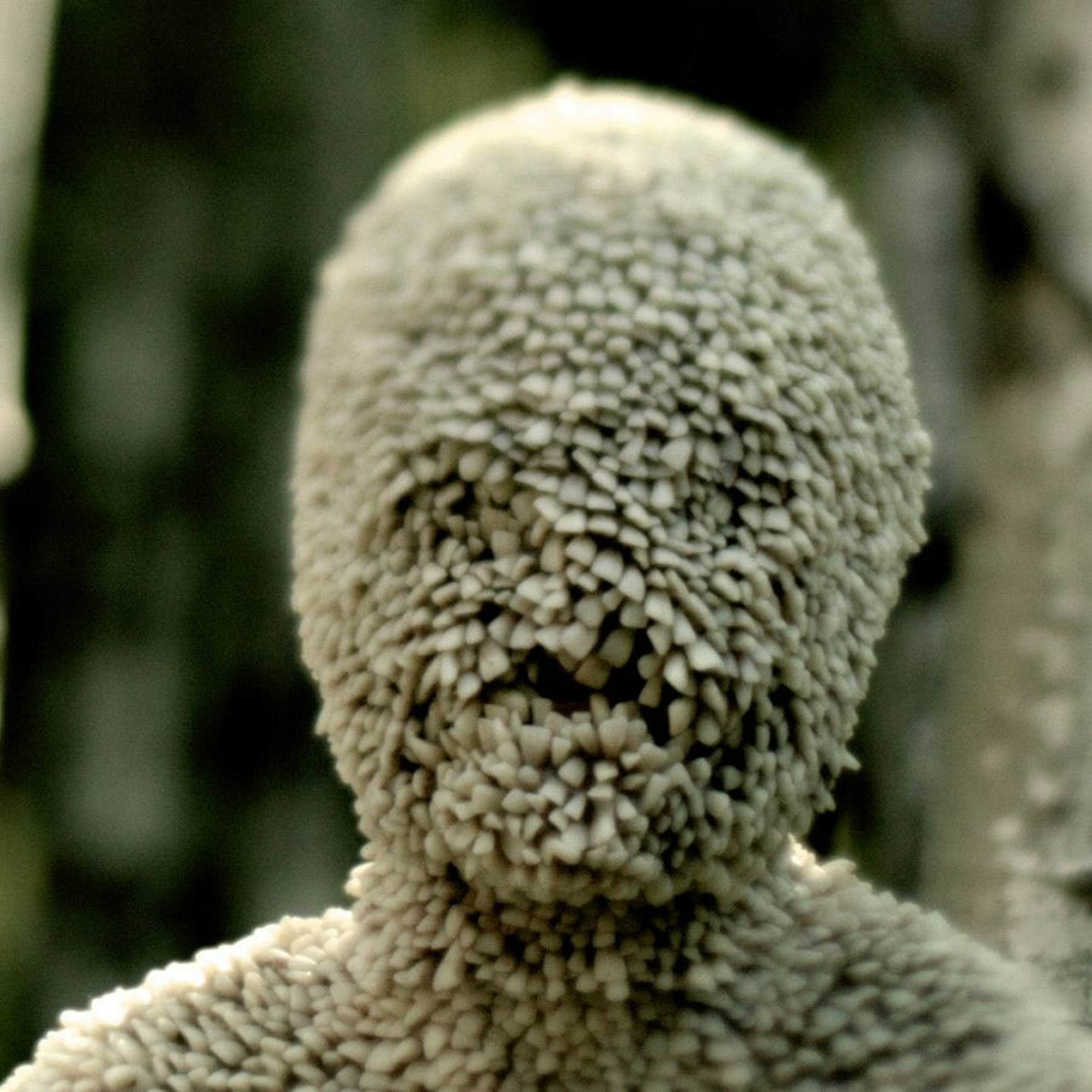 WLTW Presents: Don't You Dare! CHANNEL ZERO