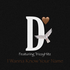 I Wanna Know Your Name (feat TrizzyHitz)