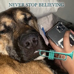 NEVER STOP BELIEVING