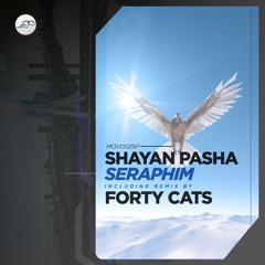 PREMIERE : Shayan Pasha - Seraphim (Original Mix) [Movement Recordings]