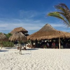 The Beaches Of Mexico Carolyn Graham — (www.lightaudio.ru)