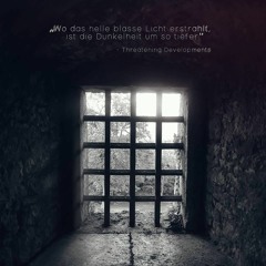 Threatening Developments - Intet Tolv (X-Core Remix)