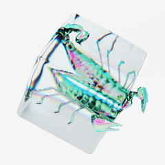 ASHI - Click