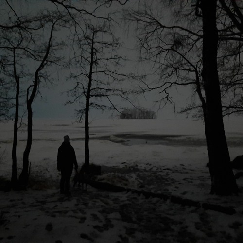 Funking Duck: Lost In The Wintry Forest