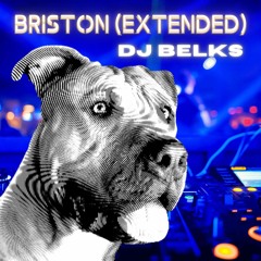 BRISTON - DJ BELKS (Extended) 128bpm - Tech House